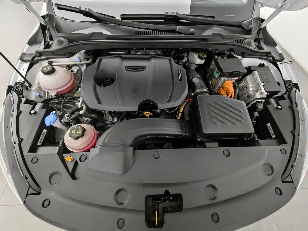 Geely Emgrand L HiP 2024 2022 1.5TD-DHT Pro 100KM Super Rui