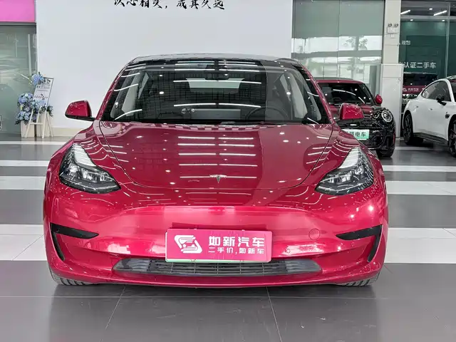 Tesla Model 3 2021 Standard Range Rear-Wheel Drive Upgrade — фото 2