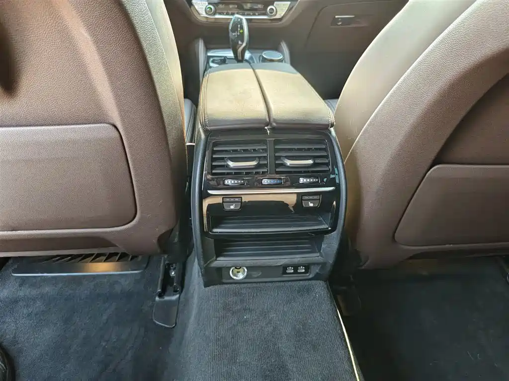 BMW 5 Series 2020 530Li Leading Luxury Package фото 13