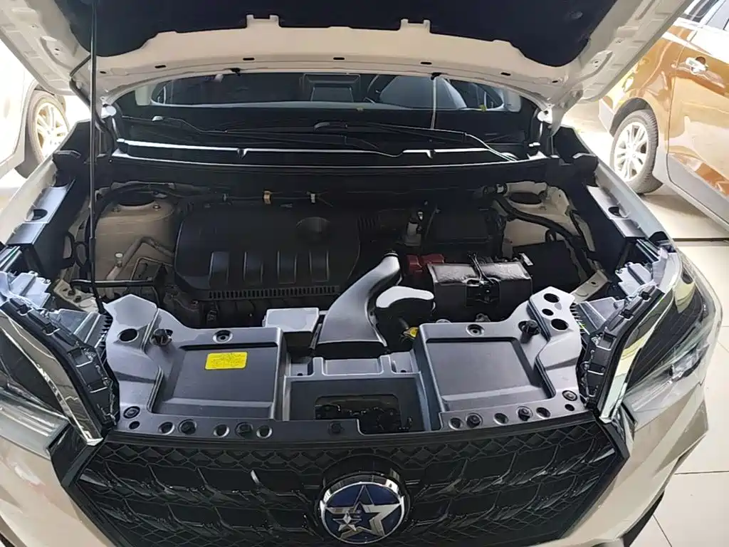 Venucia T60 2021 2020 Model 1.6L CVT Zhixing Edition China VI