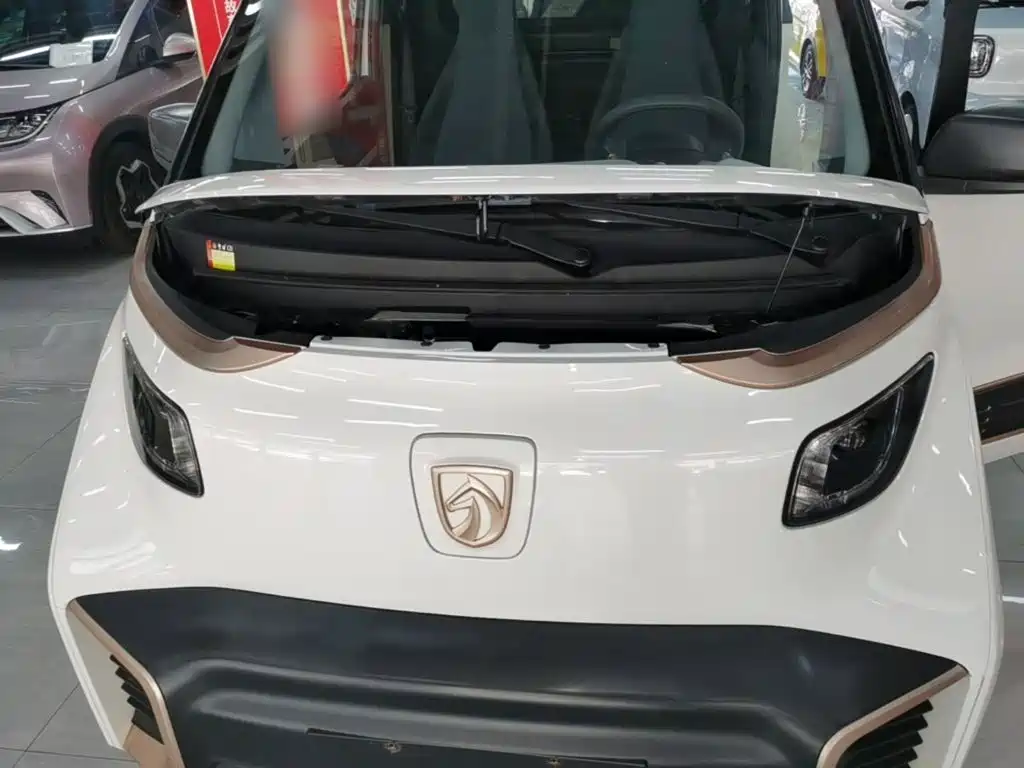 Baojun E200 2021 2020 305KM Smart Edition