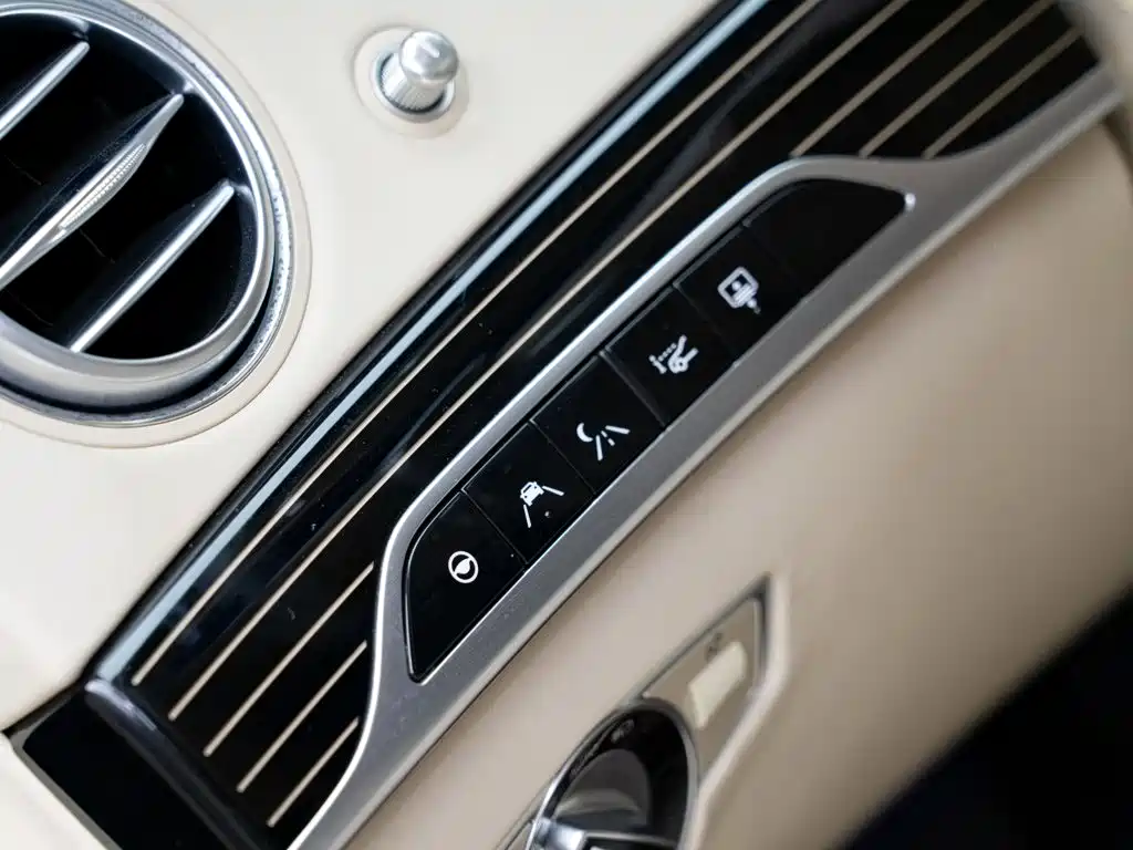صورة 12 - Mercedes-Benz Maybach S-Class