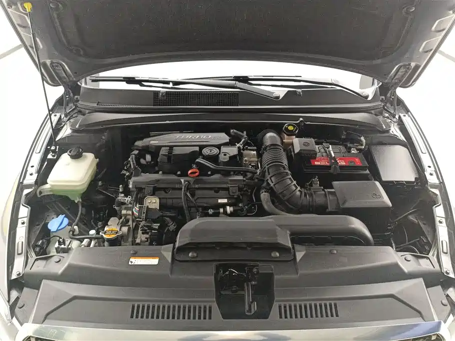 HYUNDAI NAME PICTURE