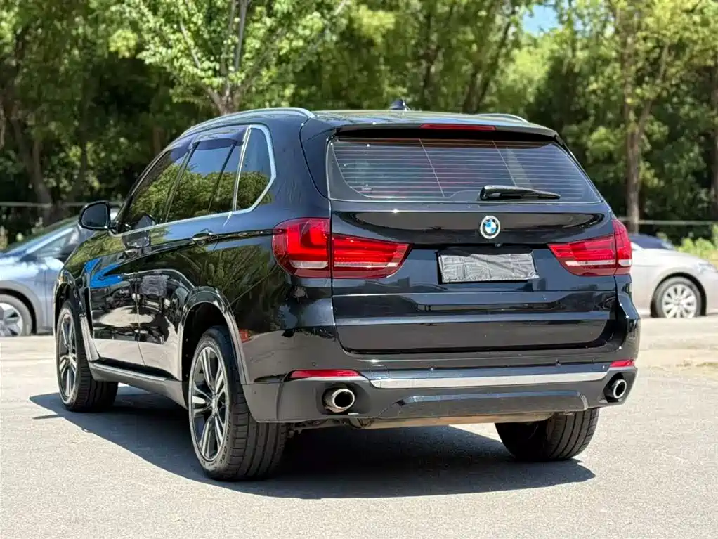 BMW X5 (Import) 2017 xDrive35i Elegance фото 6
