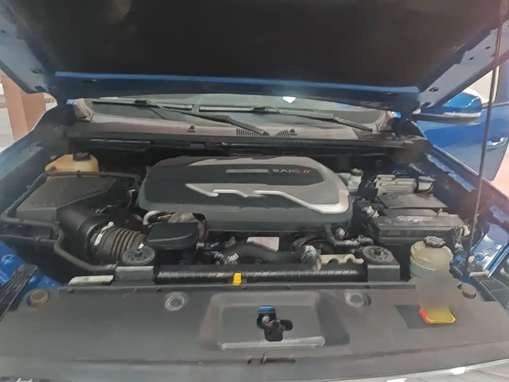 Фото 20 - Maxus Maxus T70