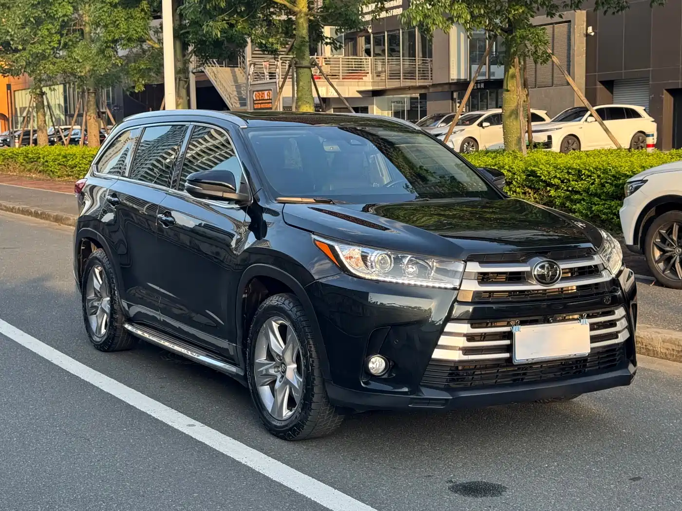 Toyota Highlander 2018 2.0T 4WD Luxury 7-seater (China V) фото 3