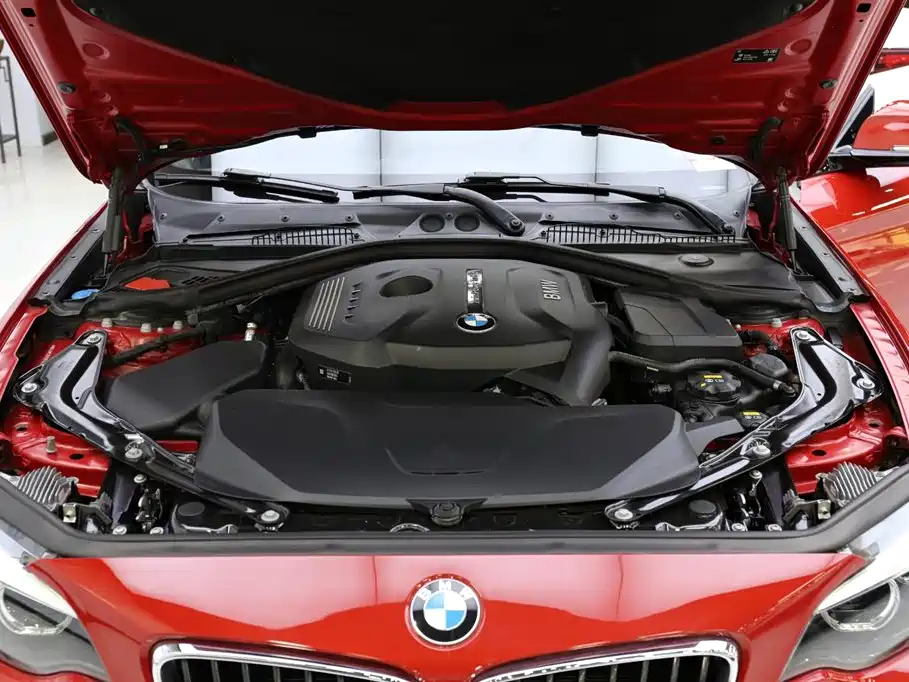 BMW 2 Series (Import) 2018 225i Convertible Coupe M Sport фото 29