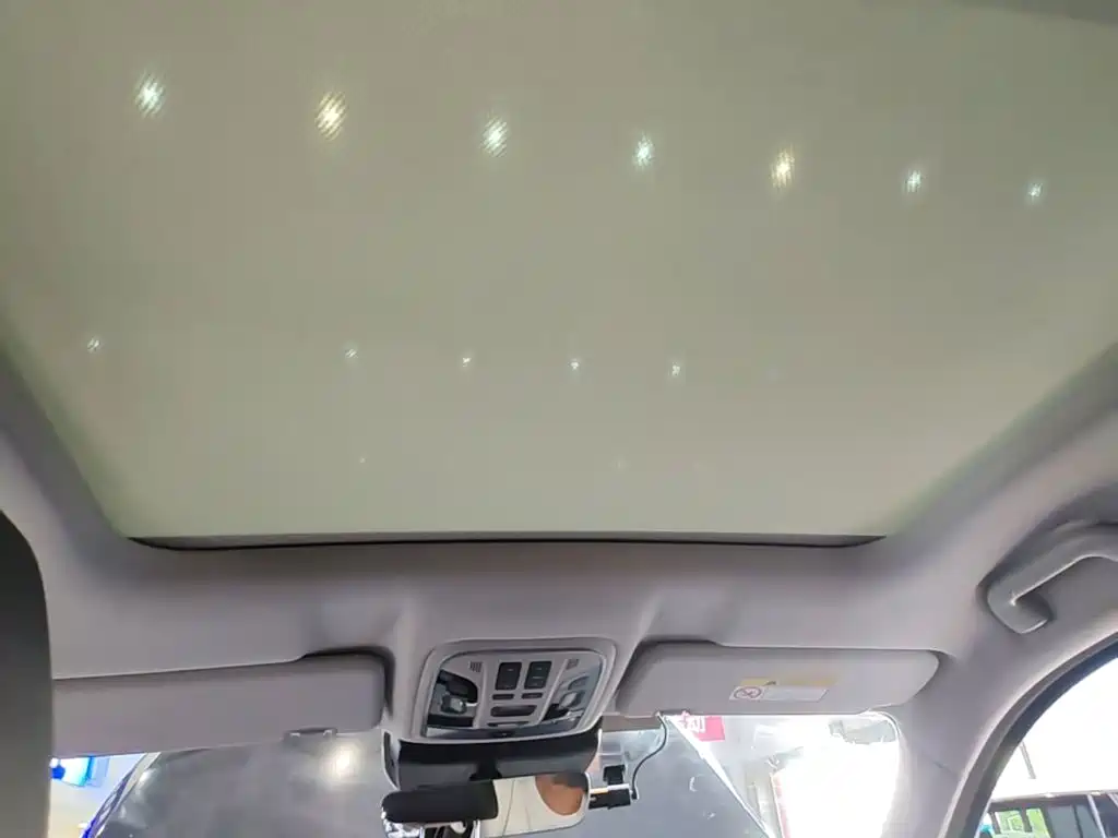 WEY VV6 2019 2018 2.0T 2WD Super Luxury China V