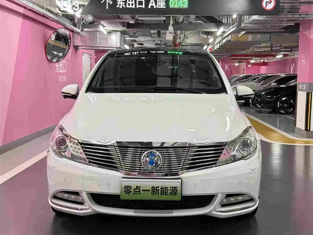 Denza Denza 2017 2017 Honor Edition