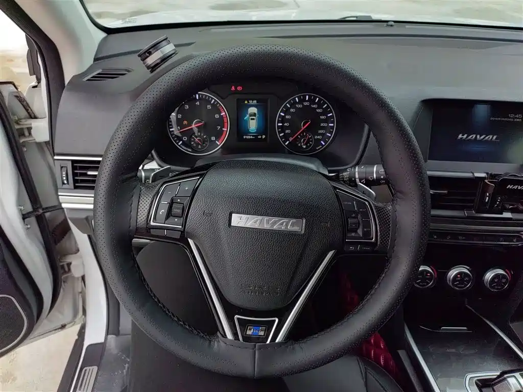 Haval H6 2018 Blue Label Sport 1.5T Automatic 2WD Elite фото 11