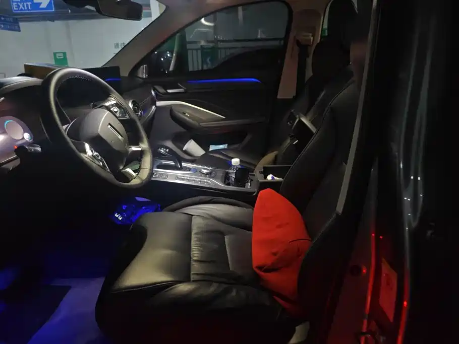 WEY VV6 2020 2021 2.0T 2WD Smart Enjoyment+