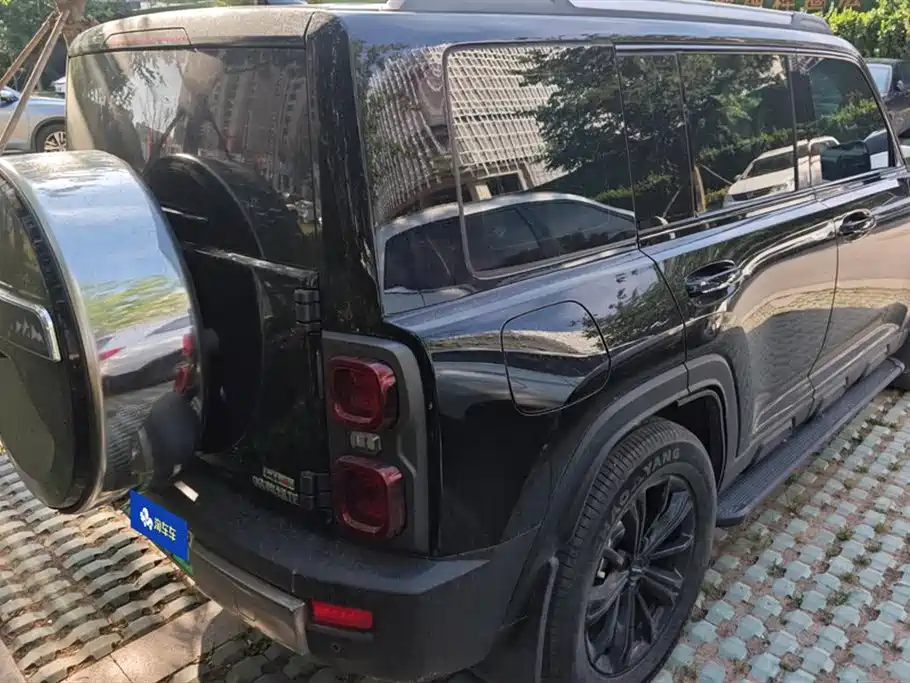 Haval Meng Long NEV 2024 Hi4 145 Cross-country Edition фото 3