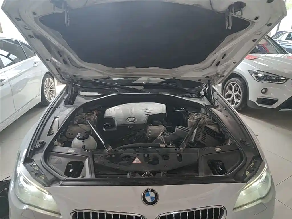 BMW 5 Series 2014 520Li Elegance фото 20
