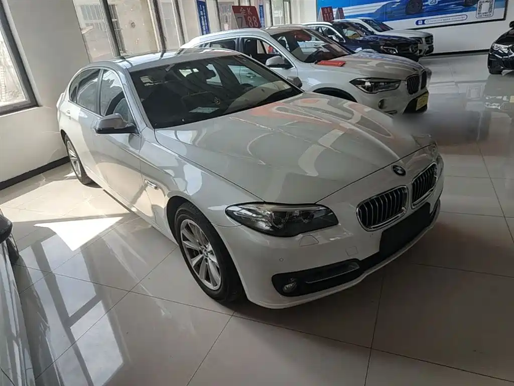 BMW 5 Series 2014 520Li Elegance фото 4