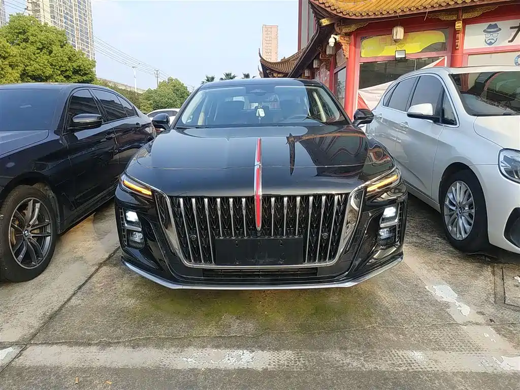 Hongqi H5 2024 2.0T Automatic Smart Connect Flag Smooth Edition фото 3