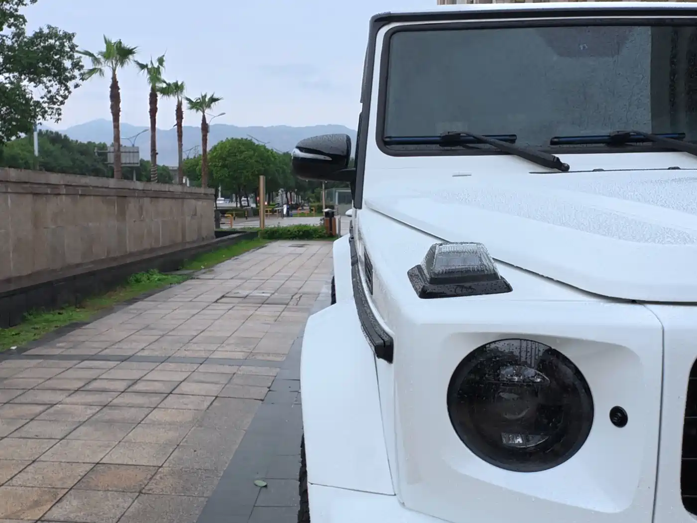 Mercedes-Benz G-Class 2016 G 500 фото 16