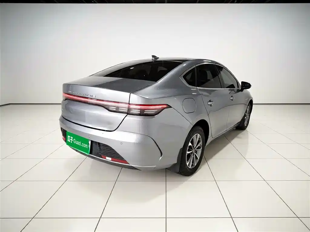 BYD Destroyer 05 2024 Glory Edition DM-i 55KM Luxury фото 5