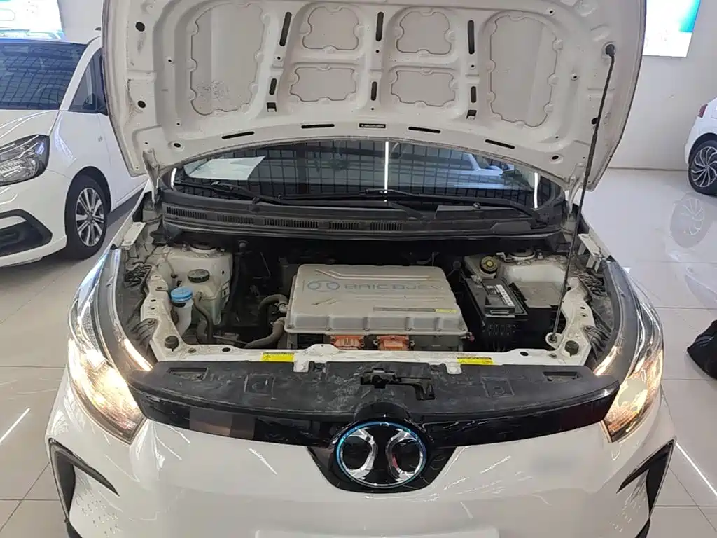 BAIC New Energy EC5 2020 2020 Fresh Air Edition