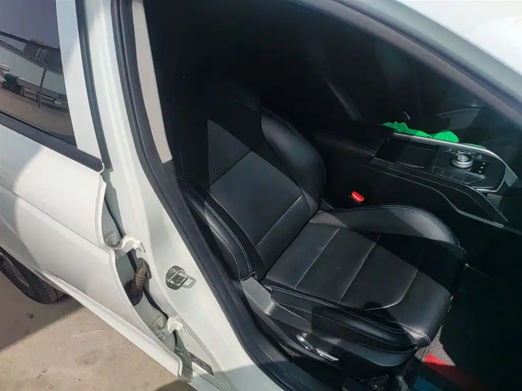 Geely Emgrand New Energy 2021 2021 EV Pro Ride-hailing Edition