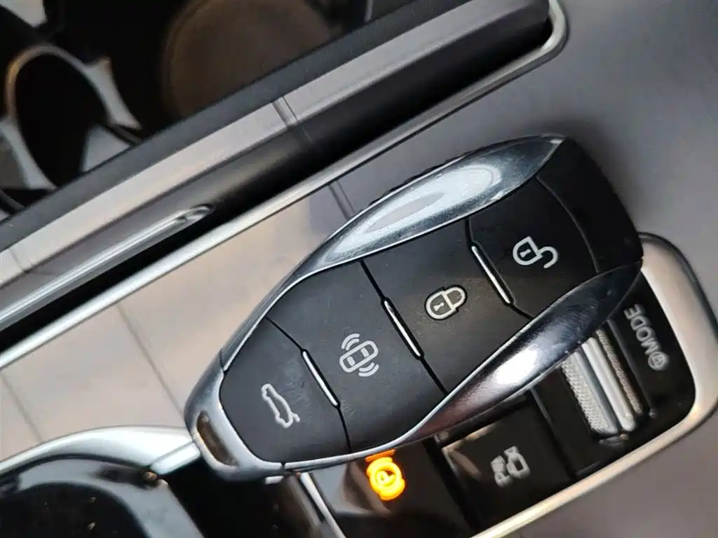 Hongqi HS7 PHEV 2024 2.0T PHEV 4WD Flagship Edition 6-seater фото 9